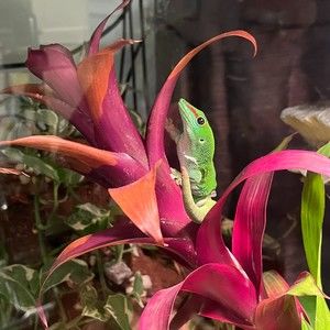 Meet your Posher, Pam